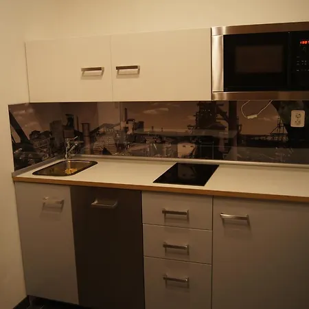 Apartmany Ostrava Apartment *